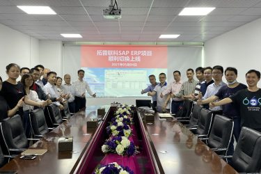 SAP ERP成功上線