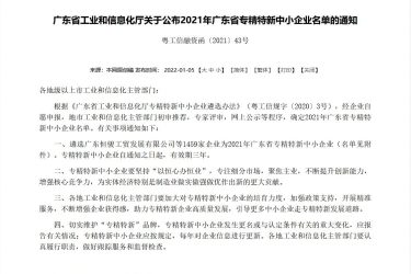 2021年廣東省專精特新中小企業(yè)名單